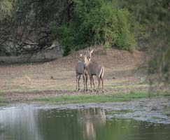 Uttar Pradesh Holiday Package